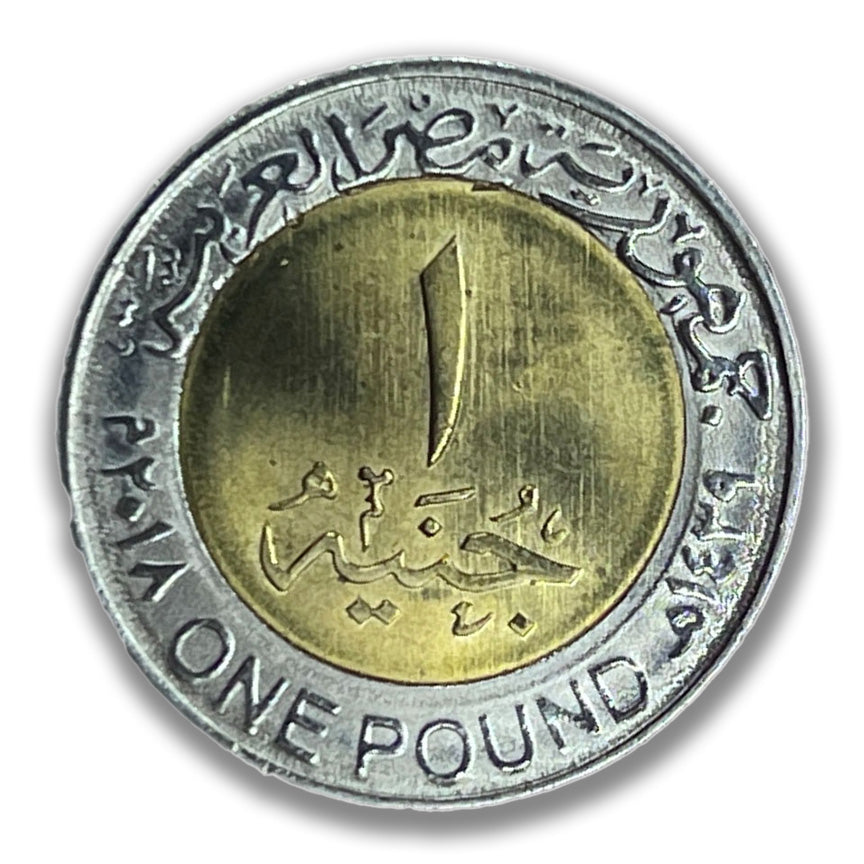 King Tut Egyptian One Pound Coin, 5-Pack + Presentation Box #TUTCOIN_5