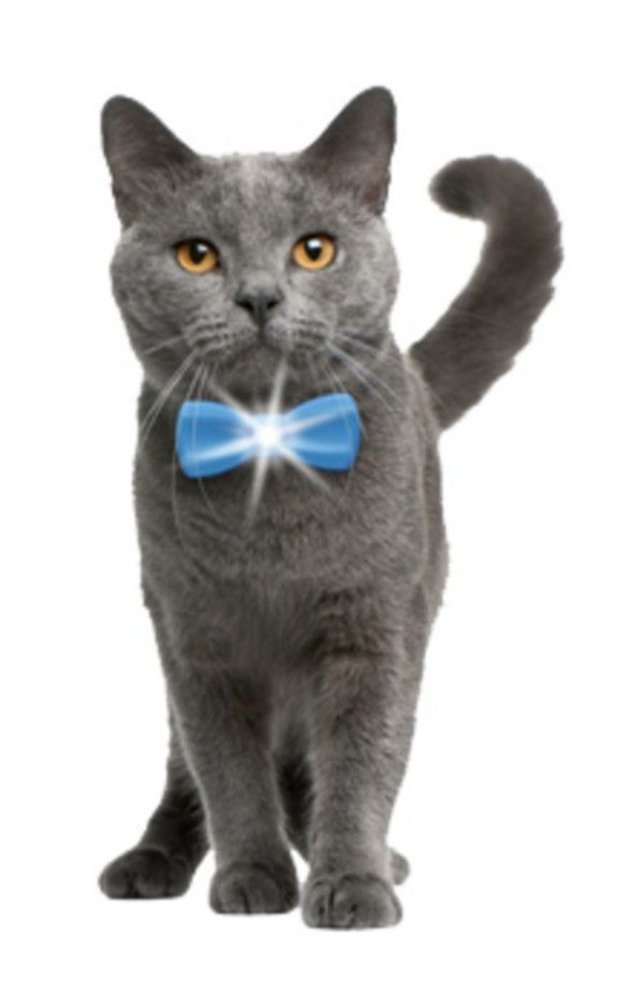 Swiss+Tech Pet Collar & Leash Light Set, Blue #ST13035