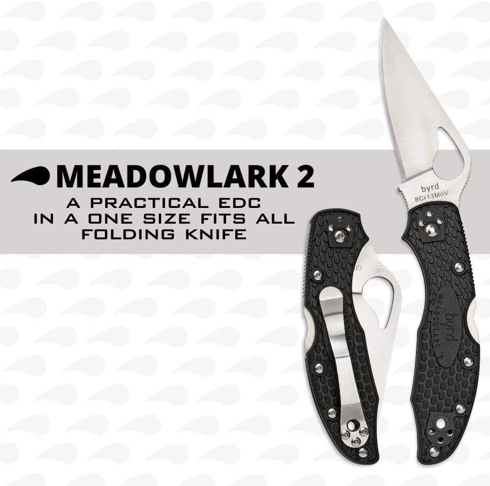 Spyderco Byrd Meadowlark 2 Lightweight, Black #BY04PBK2