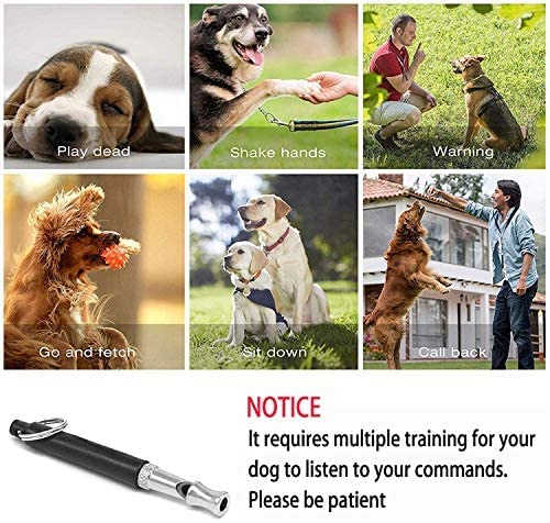 Adjustable Dog Whistle for Recall, Training, Stopping Barking + Lanyard #97195