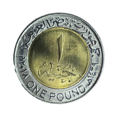 King Tut Egyptian One Pound Coin, 5-Pack + Presentation Box #TUTCOIN_5