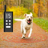 Rechargeable Dog Training Bark Collar: 6-Levels, Water-Resistant, Fits All Dogs #80J1